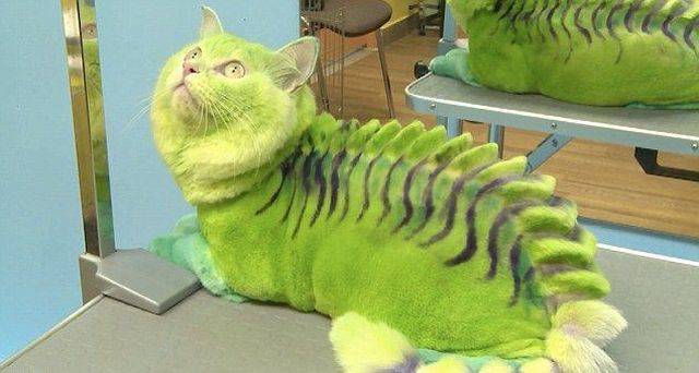 daily picdump 99 pics 23.html - 99 HD Photos | Premium Gallery 2016