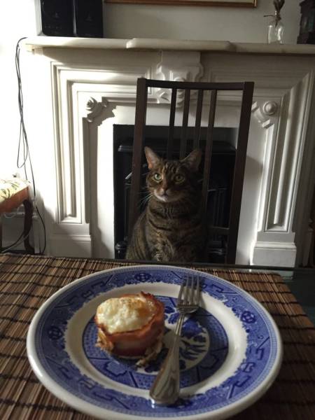 daily picdump 99 pics 23.html - 99 HD Photos | Premium Gallery 2016