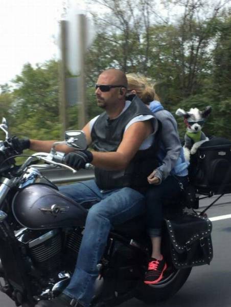 daily picdump 99 pics 23.html - 99 HD Photos | Premium Gallery 2016