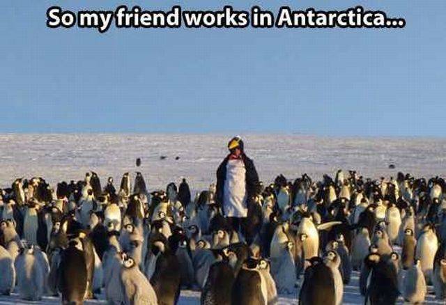 Daily Picdump
