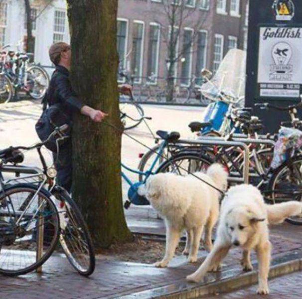 Daily Picdump