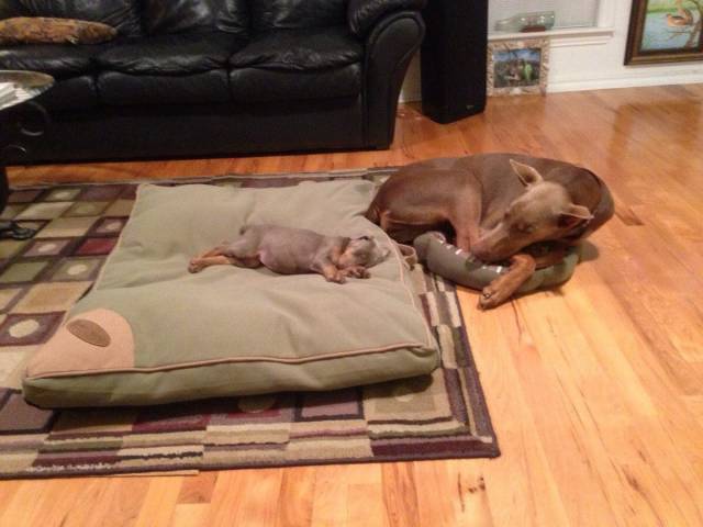 Daily Picdump