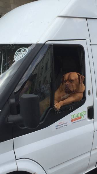 morning picdump 50 pics 7.html - 50 HD Photos | Premium Gallery 2016