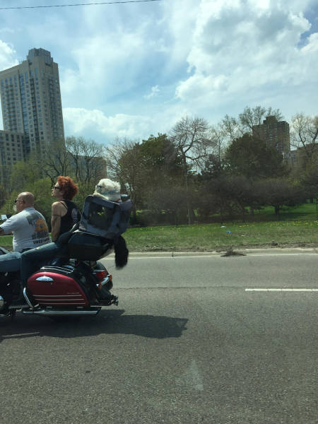 morning picdump 50 pics 7.html - 50 HD Photos | Premium Gallery 2016