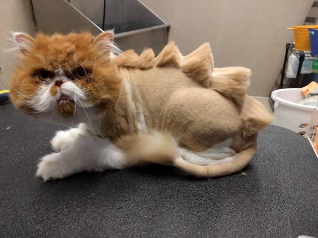 morning picdump 50 pics 7.html - 50 HD Photos | Premium Gallery 2016