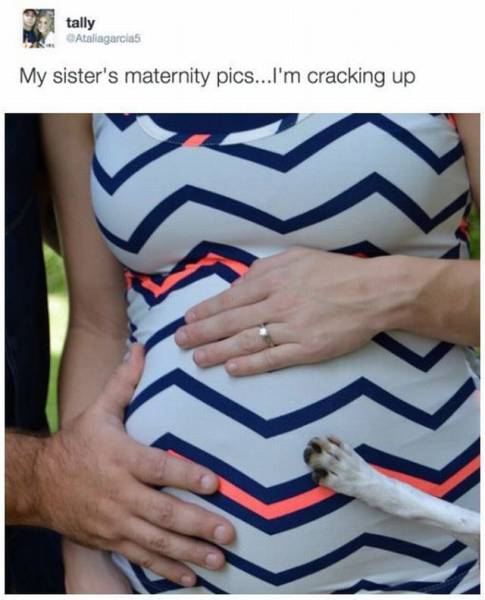 Daily Picdump
