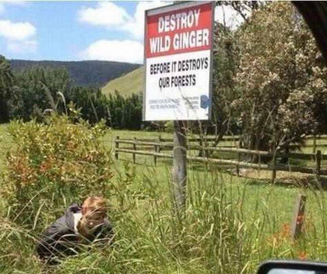 Daily Picdump