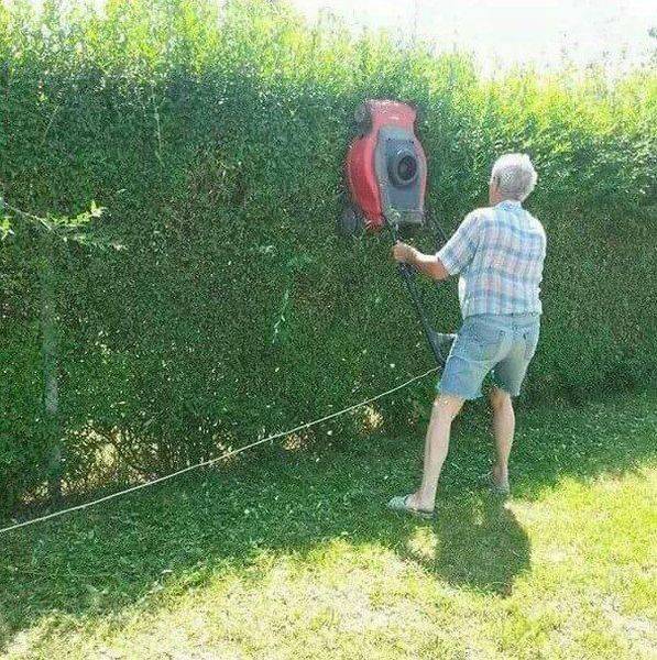 Daily Picdump