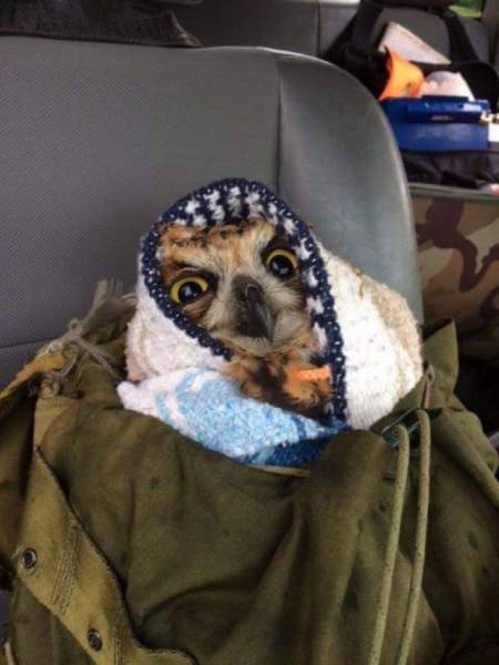 Daily Picdump