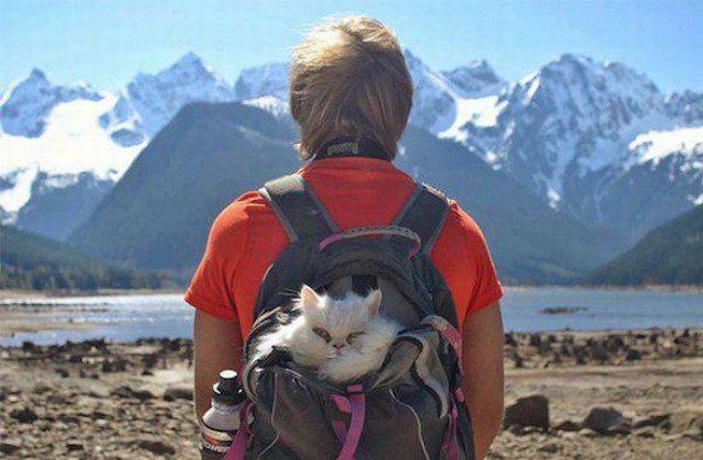 Daily Picdump