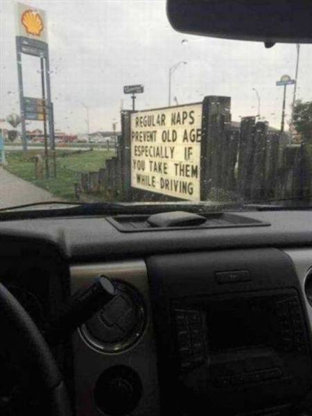 Daily Picdump