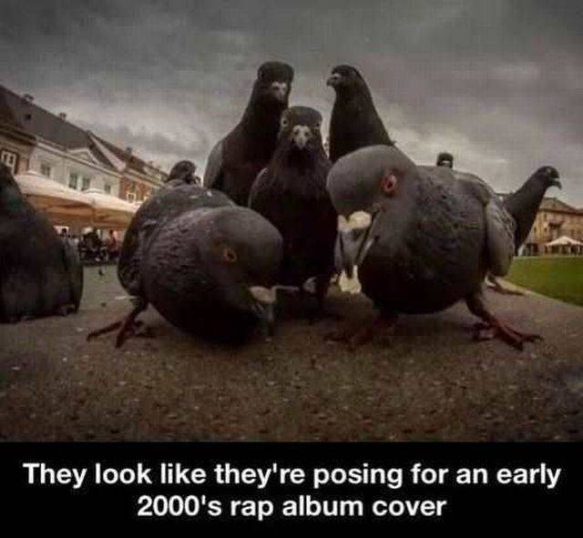 daily picdump 101 pics 2.html - 101 HD Photos | Premium Gallery 2016