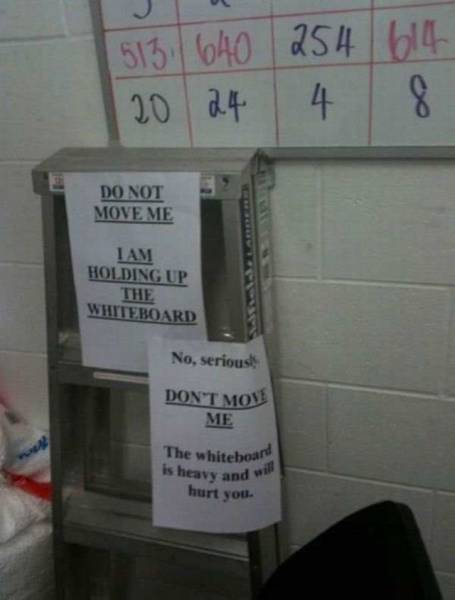 daily picdump 101 pics 2.html - 101 HD Photos | Premium Gallery 2016