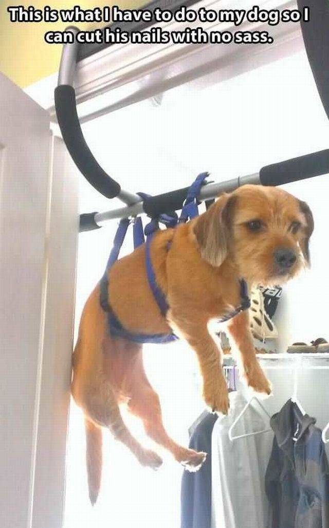 Daily Picdump