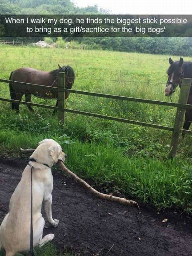 daily picdump 101 pics 2.html - 101 HD Photos | Premium Gallery 2016