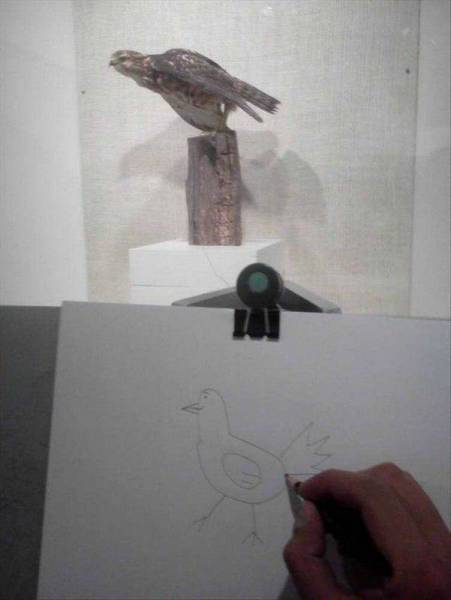 Daily Picdump