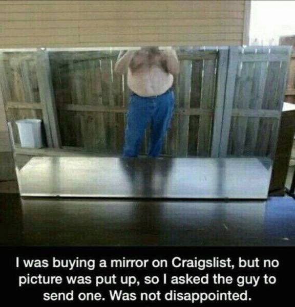 Daily Picdump