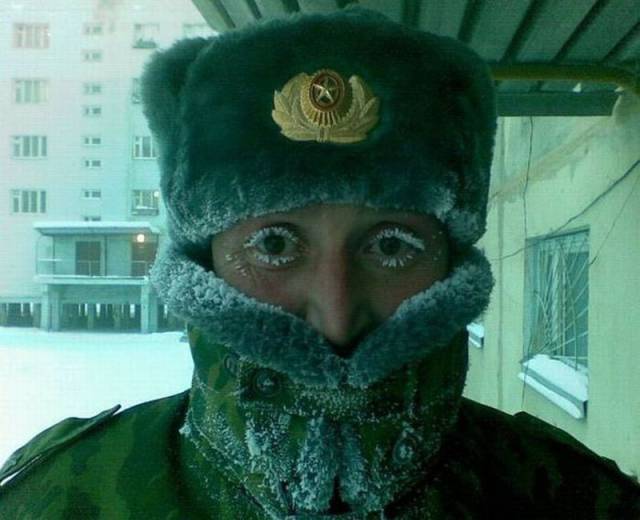 Daily Picdump