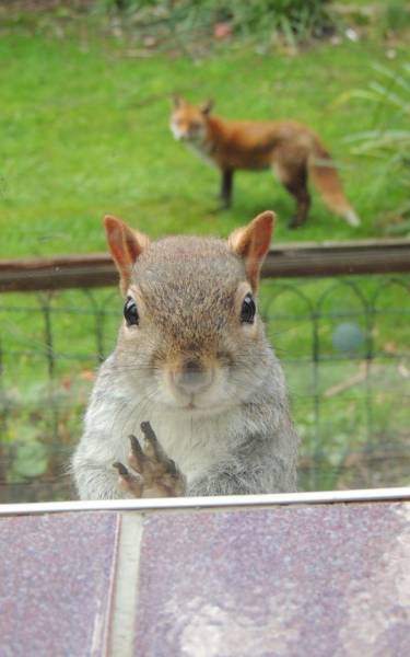 daily picdump 108 pics 51.html - 108 HD Photos | Premium Gallery 2016
