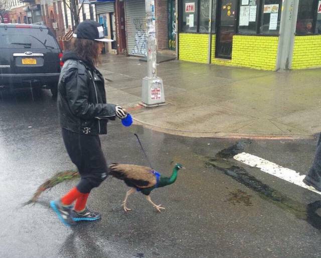 daily picdump 108 pics 51.html - 108 HD Photos | Premium Gallery 2016