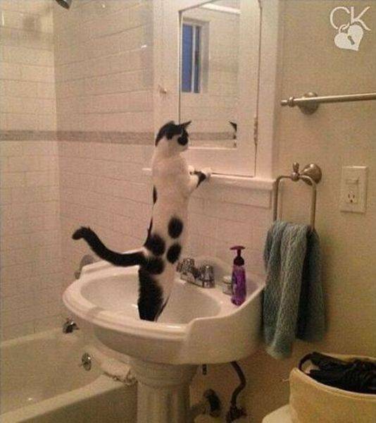 daily picdump 108 pics 51.html - 108 HD Photos | Premium Gallery 2016