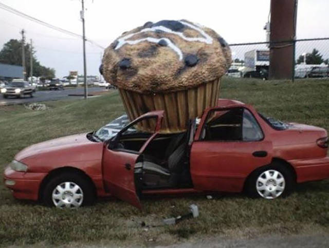 Morning Picdump