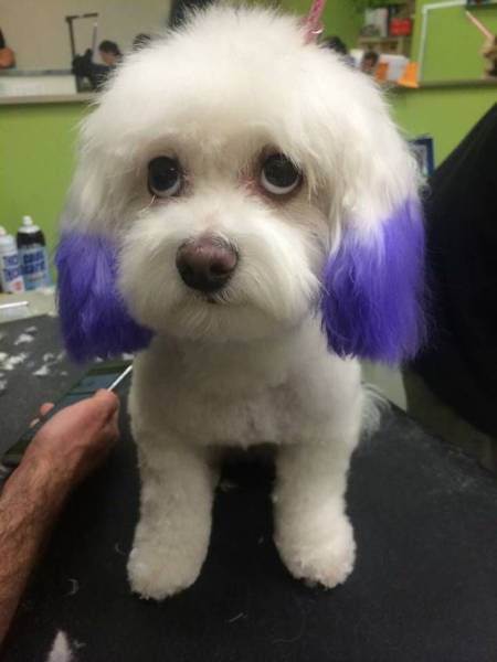 daily picdump 104 pics 43.html - 104 HD Photos | Premium Gallery 2016