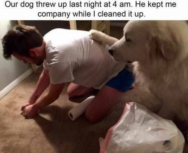 daily picdump 104 pics 43.html - 104 HD Photos | Premium Gallery 2016