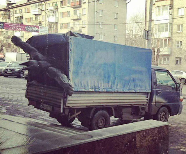 Morning Picdump