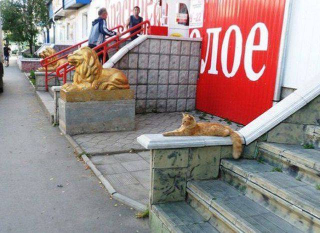 Daily Picdump