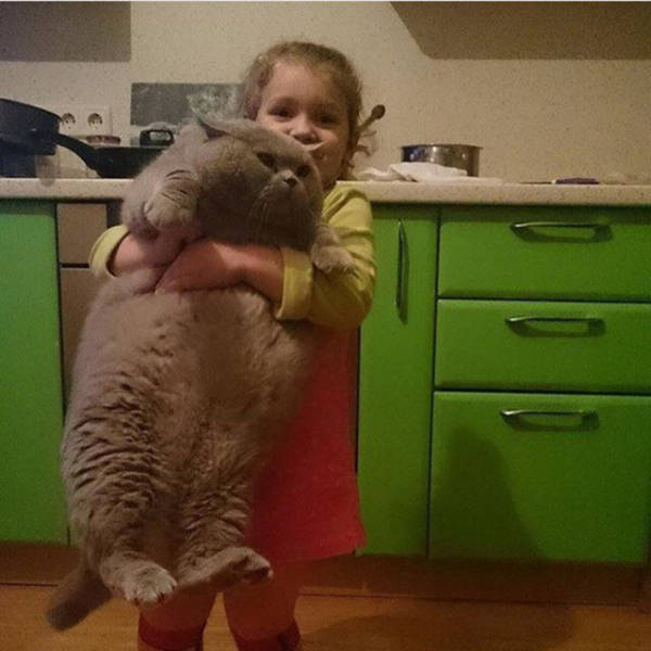 morning picdump 55 pics 4.html - 55 HD Photos | Premium Gallery 2016