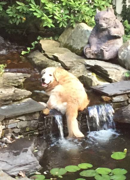 morning picdump 55 pics 4.html - 55 HD Photos | Premium Gallery 2016