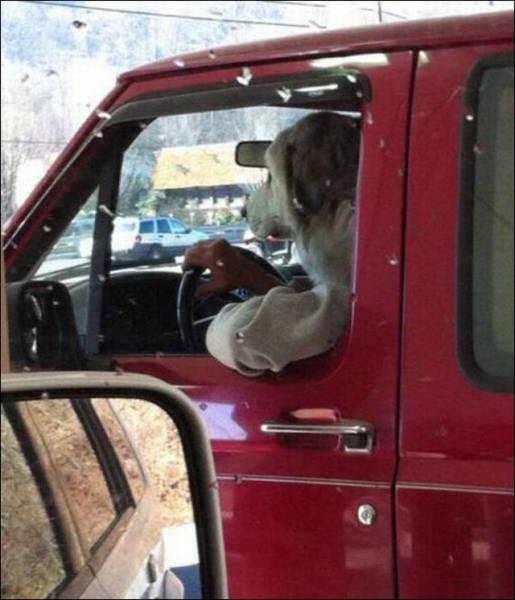 daily picdump 97 pics 21.html - 97 HD Photos | Premium Gallery 2016