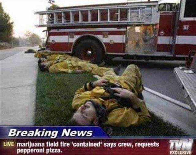 Daily Picdump