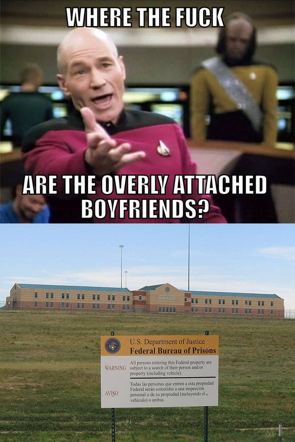 Memes to Amuse Your Tired Mind