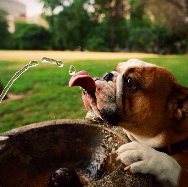 daily picdump 97 pics 44.html - 97 HD Photos | Premium Gallery 2016