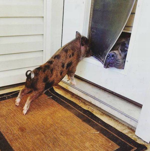 daily picdump 97 pics 44.html - 97 HD Photos | Premium Gallery 2016