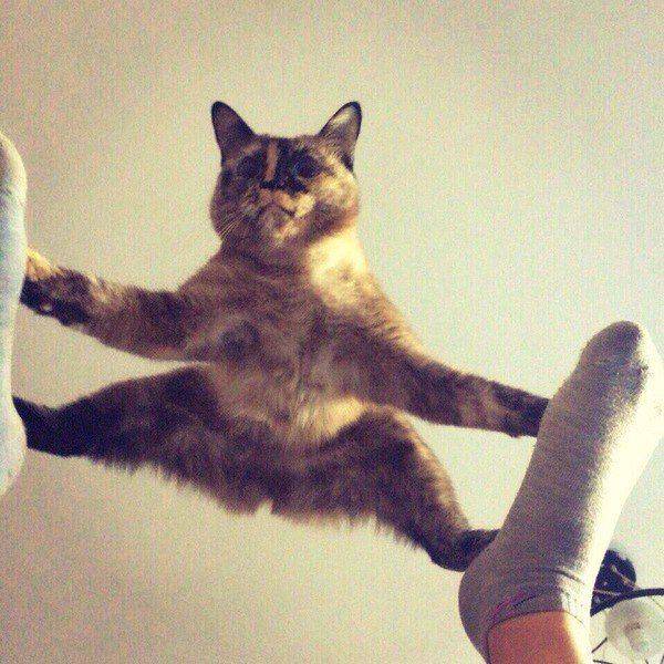 daily picdump 97 pics 44.html - 97 HD Photos | Premium Gallery 2016