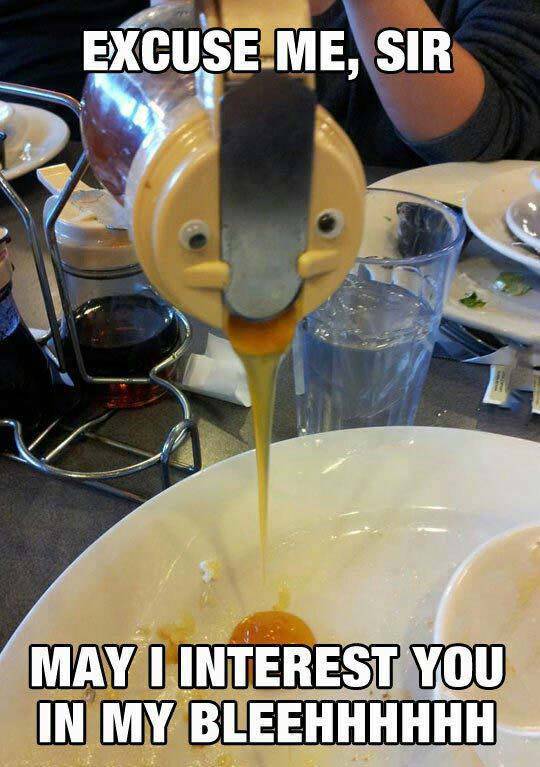 Funny Picdump