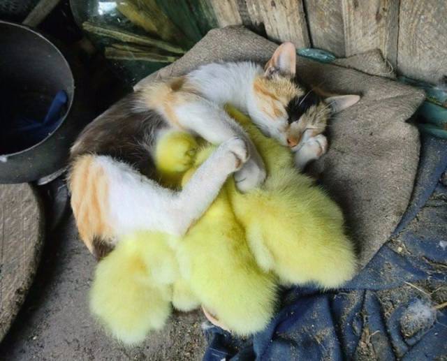 Morning Picdump