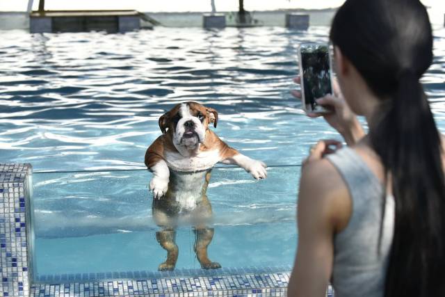 Morning Picdump