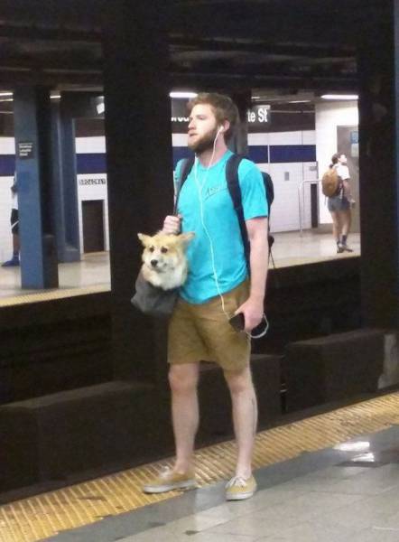 daily picdump 96 pics 3.html - 96 HD Photos | Premium Gallery 2016