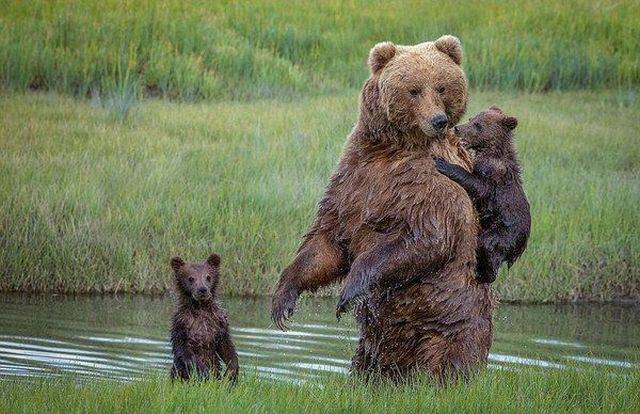 daily picdump 96 pics 3.html - 96 HD Photos | Premium Gallery 2016