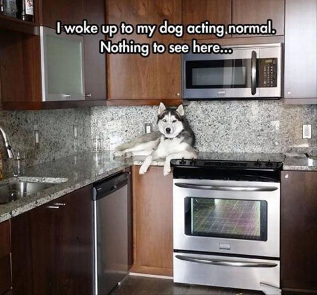 daily picdump 96 pics 3.html - 96 HD Photos | Premium Gallery 2016