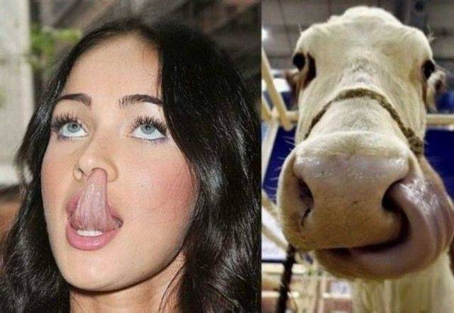 daily picdump 103 pics 50.html - 103 HD Photos | Premium Gallery 2016