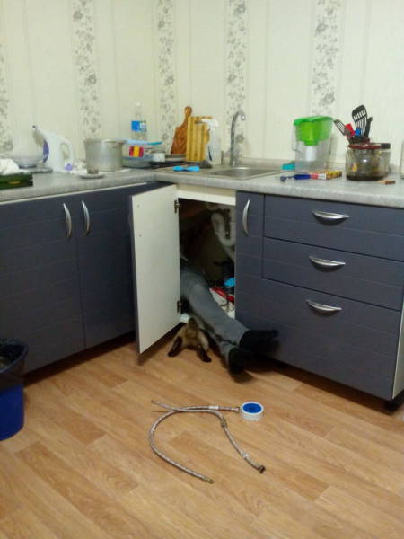 Morning Picdump