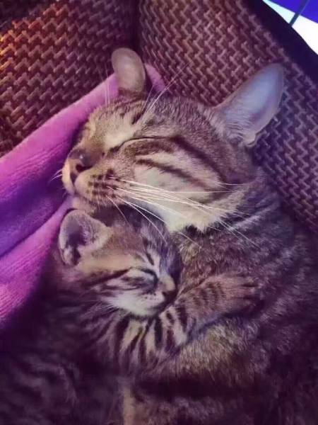 morning picdump 52 pics 9.html - 52 HD Photos | Premium Gallery 2016