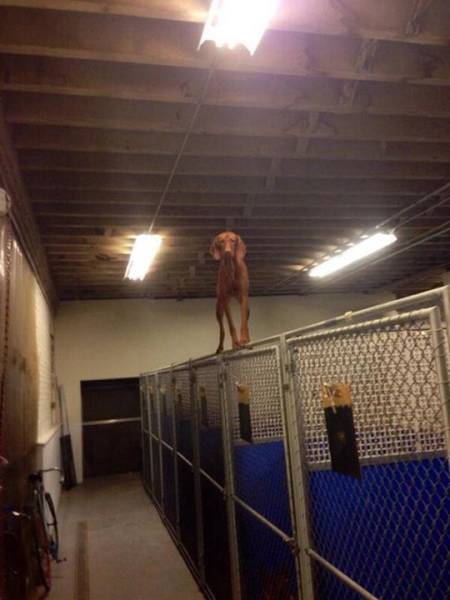 morning picdump 52 pics 9.html - 52 HD Photos | Premium Gallery 2016