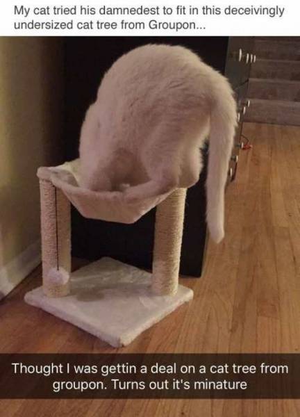 daily picdump 100 pics 9.html - 100 HD Photos | Premium Gallery 2016