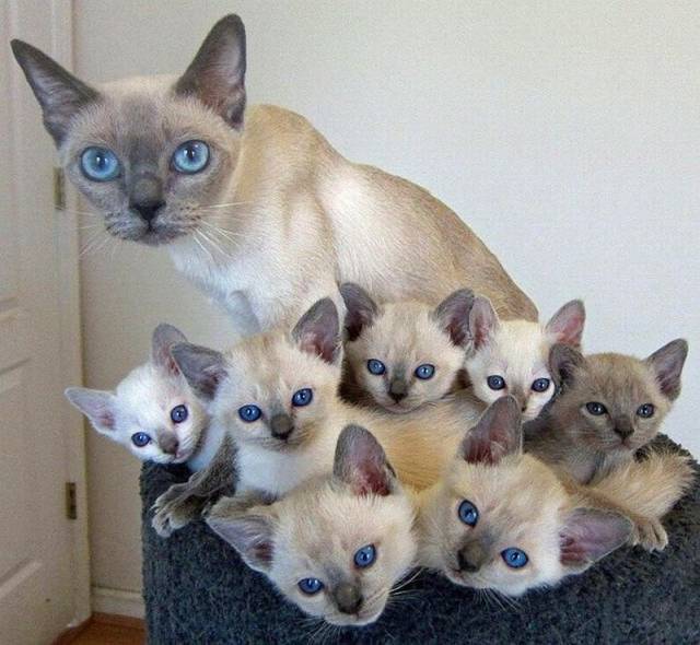 daily picdump 100 pics 9.html - 100 HD Photos | Premium Gallery 2016